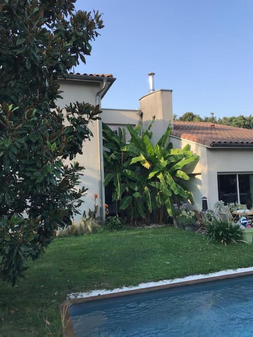 Le Calme Aux Portes De Toulouse Piscine, Clim Colomiers Exterior photo